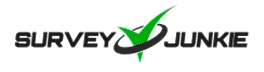 Survey Junkie Summary